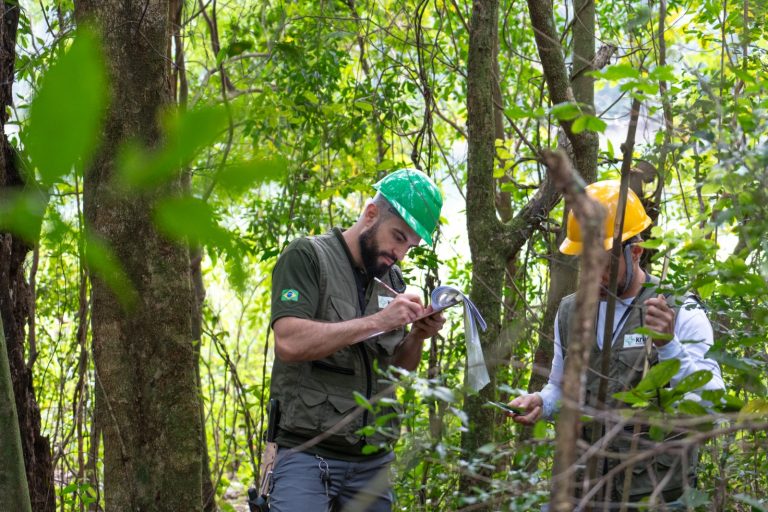 Em 40 anos, Itaipu triplica a diversidade vegetal da faixa de proteção do reservatório