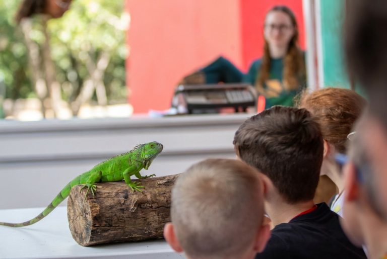 Férias de julho: Zoo Park Foz lança experiência inédita que aproxima visitantes de animais silvestres