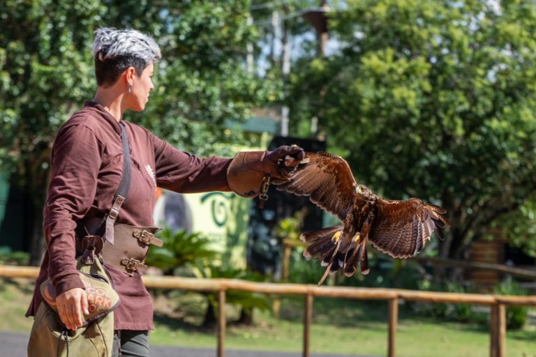 Dia das Crianças no Zoo Park Foz terá até 40% de desconto para iguaçuenses e moradores de municípios lindeiros